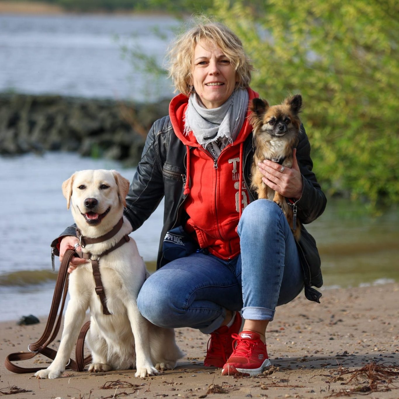 Home Hundeschule Hundetraining Fiffi-Fit Einzel- und Gruppentraining Hundeführerschein Bergedorf Hundeschule
Hundetraining Fiffi-Fit Einzel- und Gruppentraining für Hunde
Leinenbefreiung Hundeführerschein
Socialwalks
Bergedorf